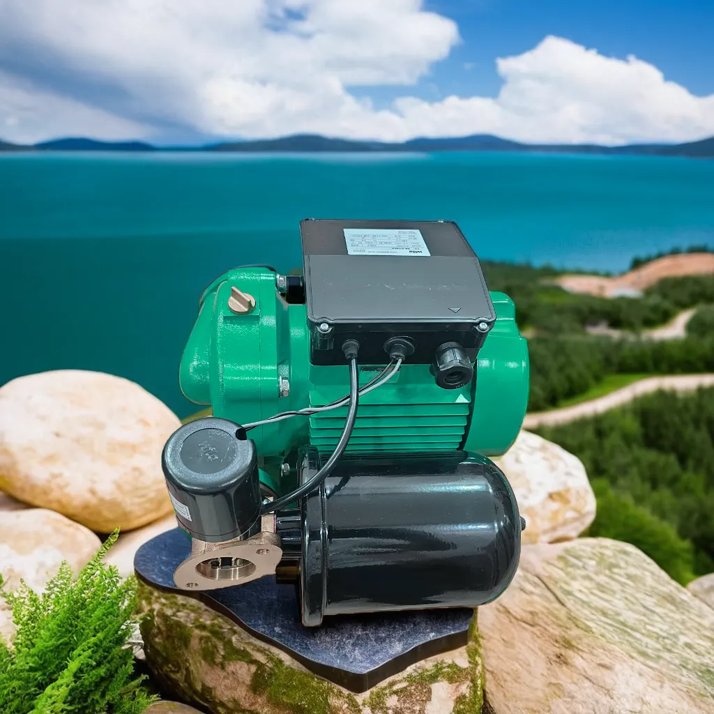 bơm tăng áp wilo PB 250SEA