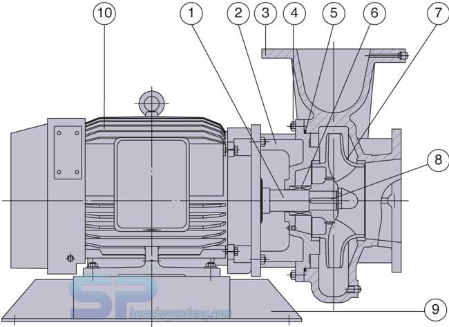 Máy bơm nước ly tâm Teco Việt Nam 2 cực G33-65-2P
