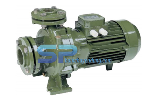 Máy bơm ly tâm trục ngang SAER IR40-200NB