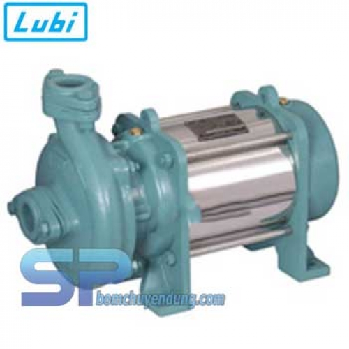 Bơm chìm trục ngang Lubi LHL-164 2HP