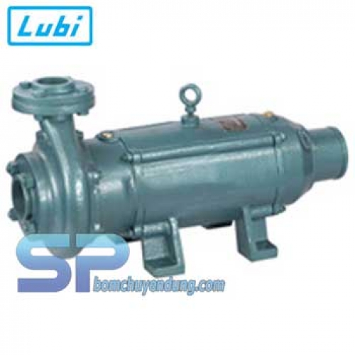 Bơm chìm trục ngang LUBI LHS-61 2HP