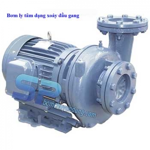 Máy bơm ly tâm dạng xoáy đầu gang NTP HVP2100-15.5 205 (7.5HP)