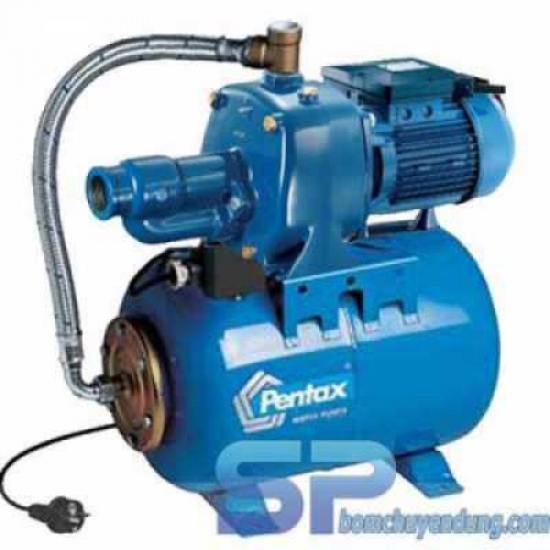 Máy Bơm Pentax CABT 300